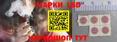 apvp Дмитров