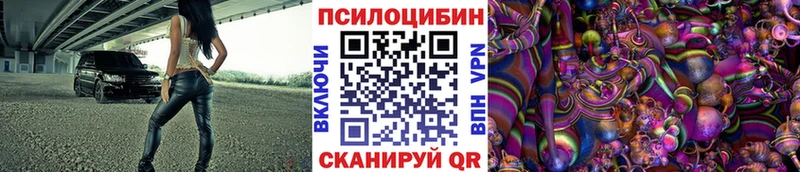 kraken маркетплейс  Бор  Галлюциногенные грибы Cubensis 