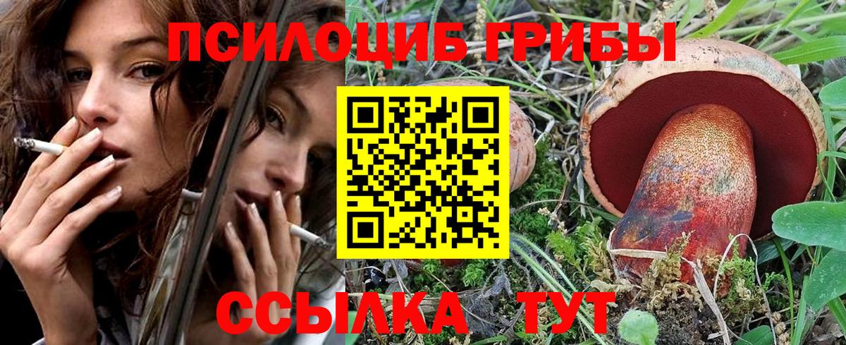 Бор  Галлюциногенные грибы Psilocybe  Вход с VPN  где купить наркоту  Галлюциногенные грибы ЛСД 
