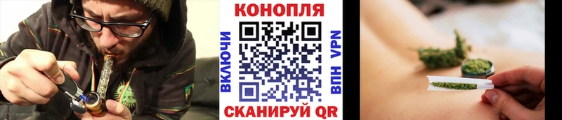 Канабис индика  Бор 